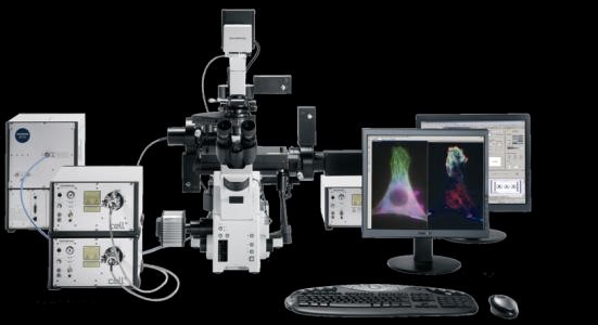 心肌细胞收缩功能测量与钙离子成像系统