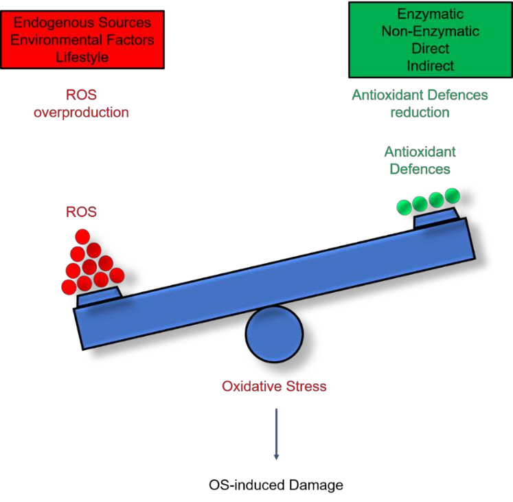 生物体自由基氧化硬件检测服务